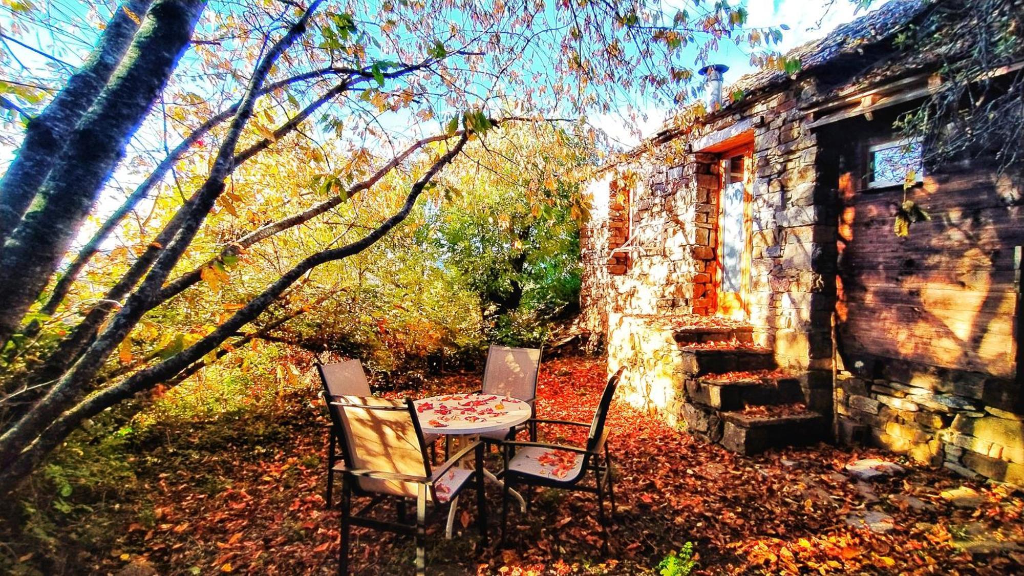 Casa Rural Petricor, Ordesa Vio Bagian luar foto