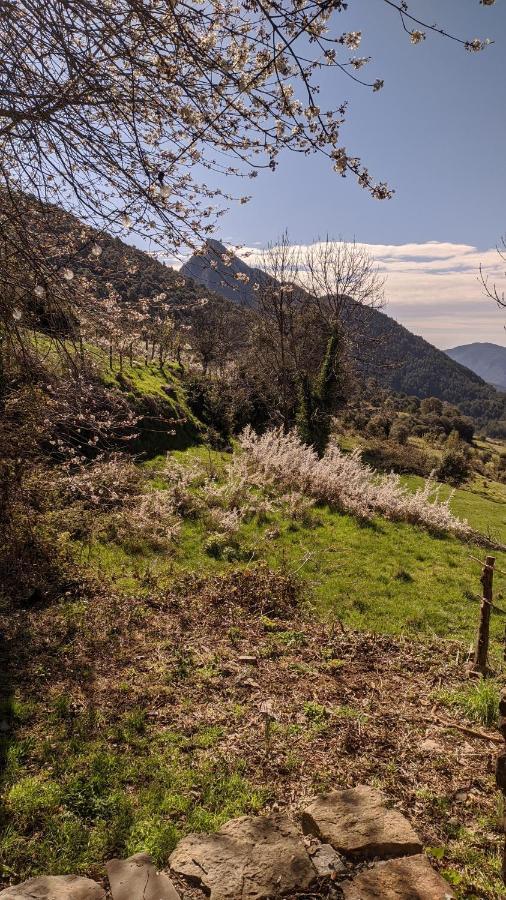 Casa Rural Petricor, Ordesa Vio Bagian luar foto
